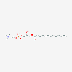 1-Tridecanoyl-sn-glycero-3-phosphocholine