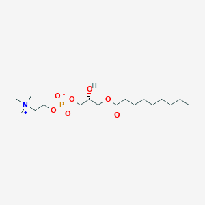 1-Nonanoyl-sn-glycero-3-phosphocholine