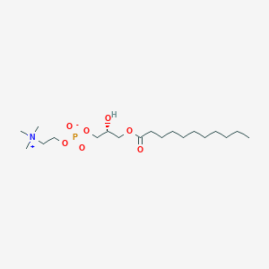 1-Undecanoyl-sn-glycero-3-phosphocholine