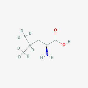 B3044230 L-Leucine-D7 CAS No. 92751-17-2
