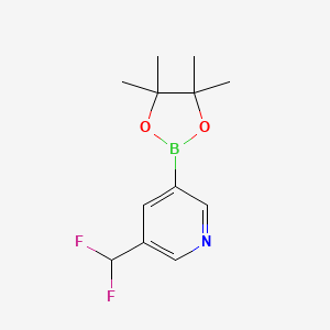 3-(Difluoromethyl)-5-(4,4,5,5-tetramethyl-1,3,2-dioxaborolan-2-yl)pyridine
