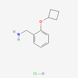 B3046872 (2-Cyclobutoxyphenyl)methanamine hydrochloride CAS No. 1315365-15-1