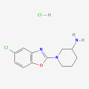 1-(5-Chloro-1,3-benzoxazol-2-YL)piperidin-3-amine hydrochloride