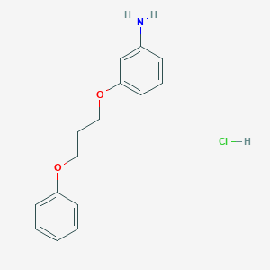 molecular formula C15H18ClNO2 B3048547 3-(3-Phenoxypropoxy)aniline;hydrochloride CAS No. 17399-28-9