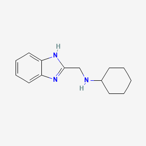 molecular formula C14H19N3 B3048590 N-(1H-benzimidazol-2-ylmethyl)cyclohexanamine CAS No. 175530-76-4