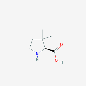 molecular formula C7H13NO2 B3049380 3,3-Dimethylpyrrolidine-2-carboxylic acid CAS No. 204267-20-9