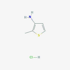 2-Methylthiophen-3-amine hydrochloride