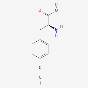 molecular formula C11H11NO2 B3050686 p-Ethynylphenylalanine CAS No. 278605-15-5
