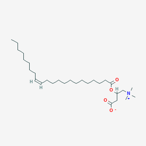 molecular formula C29H55NO4 B3051811 Erucylcarnitine CAS No. 36168-22-6