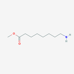 molecular formula C9H19NO2 B3054239 Methyl 8-aminooctanoate CAS No. 59080-49-8