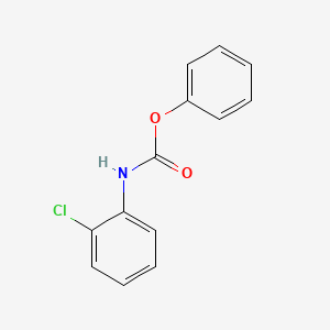 molecular formula C13H10ClNO2 B3055509 Phenyl N-(2-chlorophenyl)carbamate CAS No. 65141-02-8