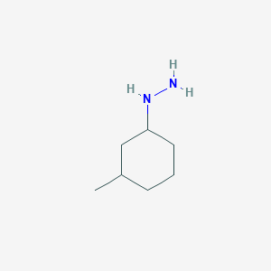 molecular formula C7H16N2 B3056779 (3-Methylcyclohexyl)hydrazine CAS No. 741249-15-0