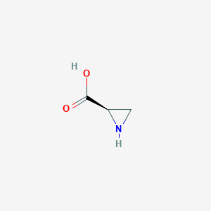 molecular formula C3H5NO2 B3057054 (R)-Aziridine-2-carboxylic acid CAS No. 76314-35-7