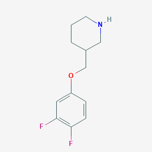 molecular formula C12H15F2NO B3059502 3-[(3,4-Difluorophenoxy)methyl]piperidine CAS No. 405090-69-9