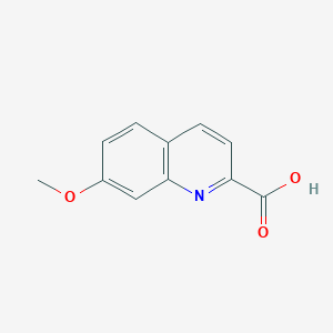 molecular formula C11H9NO3 B3059591 7-Methoxyquinoline-2-carboxylic acid CAS No. 852402-71-2