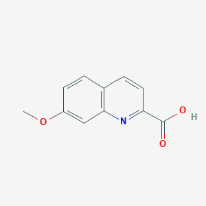 7-Methoxyquinoline-2-carboxylic acid