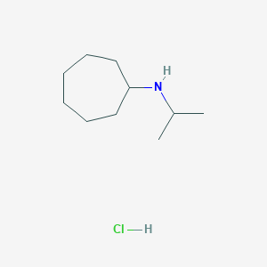 molecular formula C10H22ClN B3060053 N-Isopropylcycloheptanamine hydrochloride CAS No. 1609404-03-6