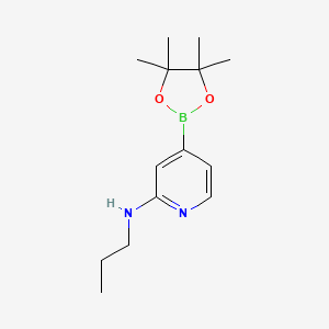 Propyl-[4-(4,4,5,5-tetramethyl-[1,3,2]dioxaborolan-2-YL)-pyridin-2-YL]-amine