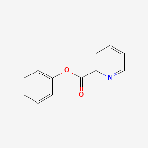 Phenyl Pyridine-2-carboxylate