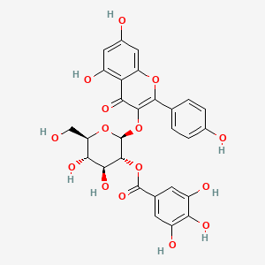 4H-1-Benzopyran-4-one, 5,7-dihydroxy-2-(4-hydroxyphenyl)-3-((2-O-(3,4,5-trihydroxybenzoyl)-beta-D-glucopyranosyl)oxy)-