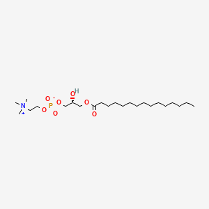 1-Pentadecanoyl-sn-glycero-3-phosphocholine