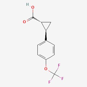 molecular formula C11H9F3O3 B3068100 trans-2-[4-(Trifluoromethoxy)phenyl]cyclopropanecarboxylic Acid CAS No. 238431-33-9