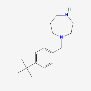 B3074110 1-[(4-Tert-butylphenyl)methyl]-1,4-diazepane CAS No. 1019109-90-0