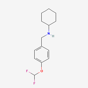 molecular formula C14H19F2NO B3074406 N-{[4-(Difluoromethoxy)phenyl]methyl}cyclohexanamine CAS No. 1019620-19-9