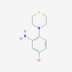 molecular formula C10H13BrN2S B3076949 5-Bromo-2-(thiomorpholin-4-yl)aniline CAS No. 1042776-83-9