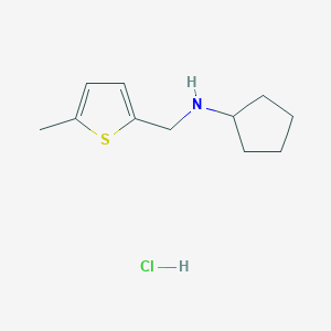 molecular formula C11H18ClNS B3077583 N-[(5-Methyl-2-thienyl)methyl]cyclopentanamine hydrochloride CAS No. 1048664-90-9