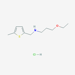 (3-Ethoxy-propyl)-(5-methyl-thiophen-2-ylmethyl)-amine hydrochloride