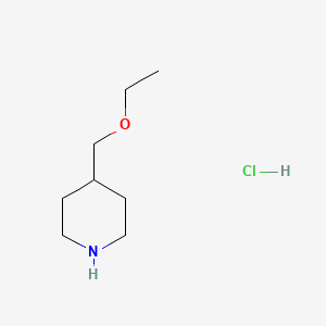 molecular formula C8H18ClNO B3078504 4-(Ethoxymethyl)piperidine hydrochloride CAS No. 1051919-43-7