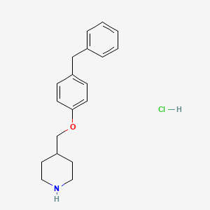 molecular formula C19H24ClNO B3080947 4-[(4-Benzylphenoxy)methyl]piperidine hydrochloride CAS No. 1093653-13-4
