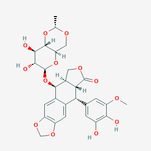 molecular formula C₂₈H₃₀O₁₃ B030824 3',4'-Dihydroxyetoposide CAS No. 100007-54-3