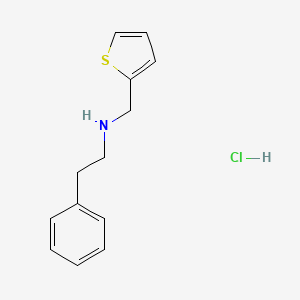 molecular formula C13H16ClNS B3083017 Phenethyl-thiophen-2-ylmethyl-amine hydrochloride CAS No. 1135234-39-7