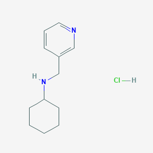 molecular formula C12H19ClN2 B3083025 Cyclohexyl-pyridin-3-ylmethyl-amine hydrochloride CAS No. 1135239-09-6