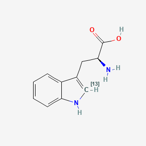 molecular formula C11H12N2O2 B3085533 L-Tryptophan-13C CAS No. 115709-68-7