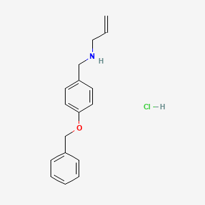 {[4-(Benzyloxy)phenyl]methyl}(prop-2-en-1-yl)amine hydrochloride