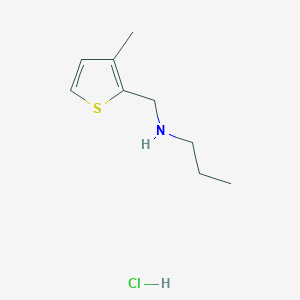 molecular formula C9H16ClNS B3085627 [(3-Methylthiophen-2-yl)methyl](propyl)amine hydrochloride CAS No. 1158215-58-7