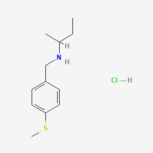molecular formula C12H20ClNS B3085666 (Butan-2-yl)({[4-(methylsulfanyl)phenyl]methyl})amine hydrochloride CAS No. 1158246-97-9
