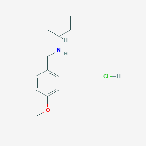 molecular formula C13H22ClNO B3085678 (Butan-2-yl)[(4-ethoxyphenyl)methyl]amine hydrochloride CAS No. 1158259-57-4
