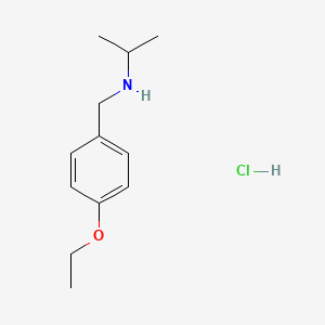 [(4-Ethoxyphenyl)methyl](propan-2-yl)amine hydrochloride