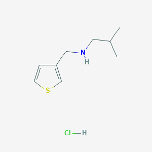 molecular formula C9H16ClNS B3085953 2-Methyl-N-(3-thienylmethyl)-1-propanamine hydrochloride CAS No. 1158410-58-2