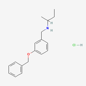 {[3-(Benzyloxy)phenyl]methyl}(butan-2-yl)amine hydrochloride