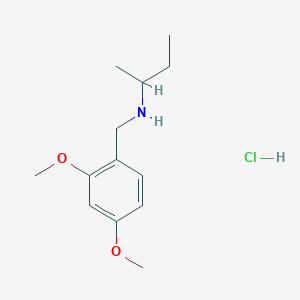 molecular formula C13H22ClNO2 B3086049 (Butan-2-yl)[(2,4-dimethoxyphenyl)methyl]amine hydrochloride CAS No. 1158469-22-7