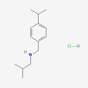 molecular formula C14H24ClN B3086066 (2-Methylpropyl)({[4-(propan-2-yl)phenyl]methyl})amine hydrochloride CAS No. 1158476-25-5