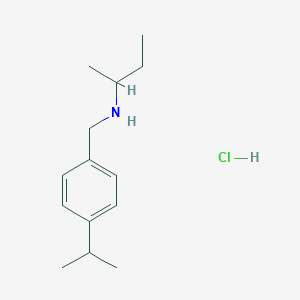 molecular formula C14H24ClN B3086072 (Butan-2-yl)({[4-(propan-2-yl)phenyl]methyl})amine hydrochloride CAS No. 1158481-73-2