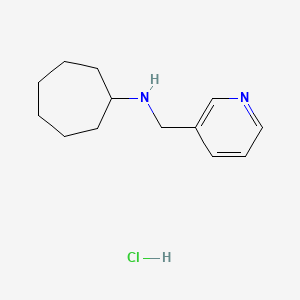 molecular formula C13H21ClN2 B3086151 N-(3-Pyridinylmethyl)cycloheptanamine hydrochloride CAS No. 1158534-34-9