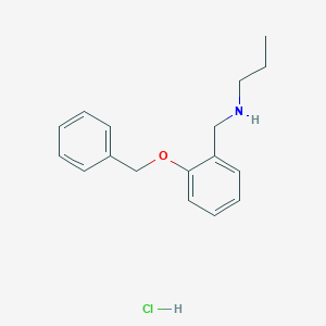 molecular formula C17H22ClNO B3086171 {[2-(Benzyloxy)phenyl]methyl}(propyl)amine hydrochloride CAS No. 1158558-46-3
