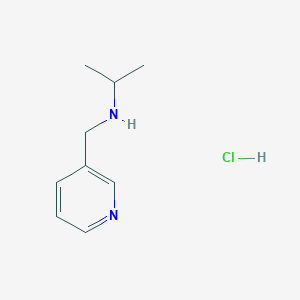 molecular formula C9H15ClN2 B3086272 N-(Pyridin-3-ylmethyl)propan-2-amine hydrochloride CAS No. 1158622-04-8